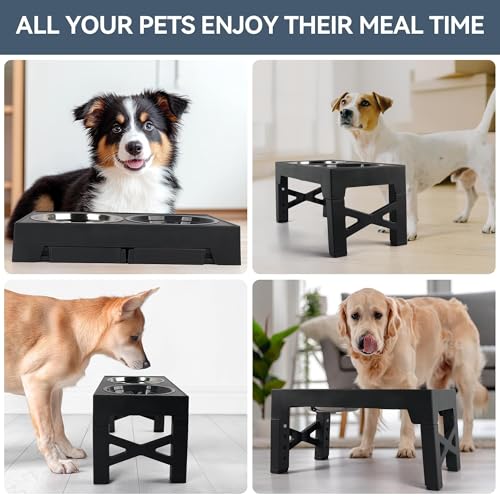 PAWISE Elevated Dog Bowls, Raised Dog Bowl with Slow Feeder Bowl & Stainless Steel Bowls, 5 Heights Adjustable Dog Feeding Bowl Stand for Small Medium Large Dogs, Food Dishes with Non-Slip Feet