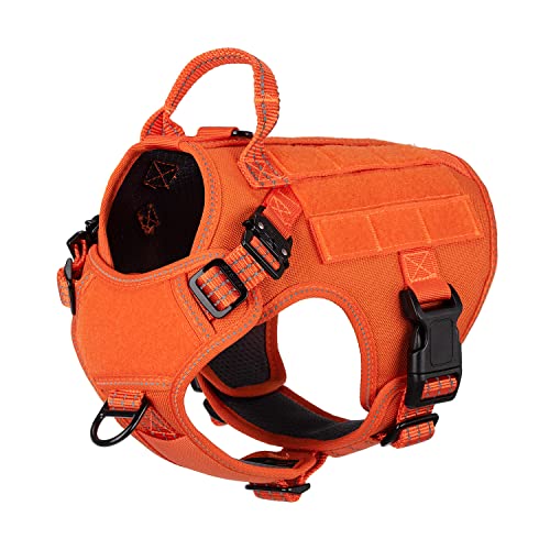 ICEFANG Tactical Dog Harness, Small Size,2X Metal Buckle,Working Dog MOLLE Vest with Handle,No Pulling Front Leash Clip,Hook and Loop Panel (Orange,S (Pack of 1)) - color: Orange, size: Small (Pack of 1)