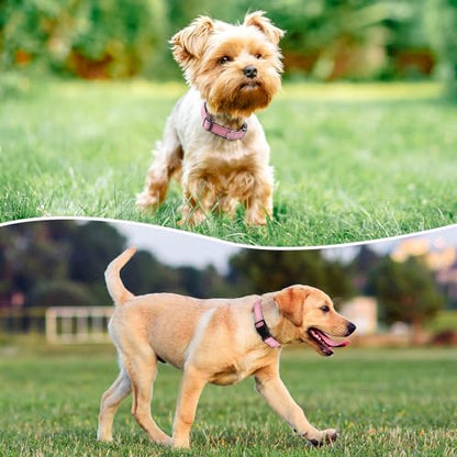 Reflective Dog Collar Padded with Soft Neoprene Breathable Quick Release Basic Dog Collars for Puppy Extra Small Dogs Pink Girl - color: Pink, size: XS:width 5/8"neck 8-10.5"
