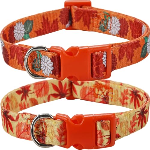 Fall Dog Collar for Medium Dogs, 2 Pack Thanksgiving Dog Collars with Maplel and Flower Pattern, Adjustable & Soft for Wearing - color: Fall, size: M