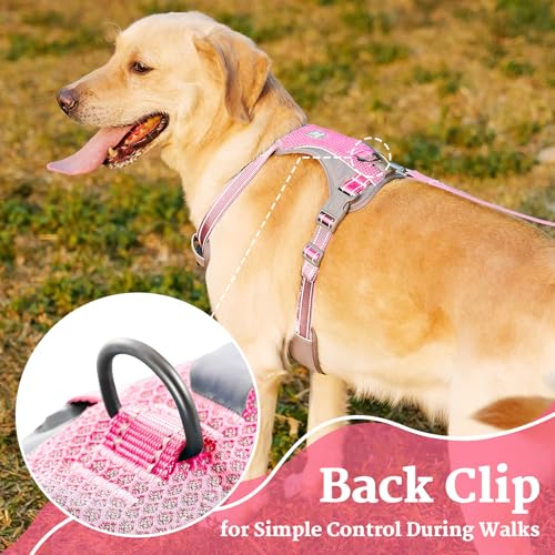 Huntboo No-Pull Dog Harness, Fully Reflective Vest with 2 Leash Clips, No-Choke, Adjustable, Breathable & Durable for Small, Medium & Large Dogs Walking, Training, Running (Pink, XS) - color: Pink, size: X-Small(Pack of 1)
