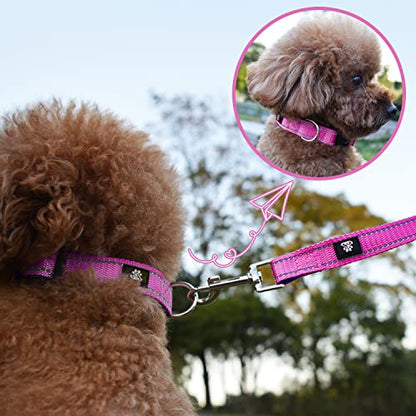 Dog Collar and Leash Set,Reflective Dog Collars with Quick Release Buckle,Adjustable Nylon Pet Collar for Small Medium Large Dogs(Small,Fuchsia Pink) - color: Fuchsia Pink, size: Small