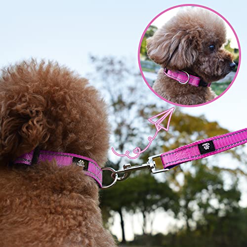 Dog Collar and Leash Set,Reflective Dog Collars with Quick Release Buckle,Adjustable Nylon Pet Collar for Small Medium Large Dogs(Medium,Fuchsia Pink) - color: Fuchsia Pink, size: Medium