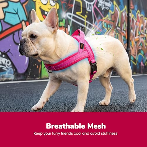 Didog No Pull Dog Harness with Soft Mesh Padded,Reflective & Quick Fit Light Weight Dog Strap Vest Harness,Easy for Walking Training (S:Chest 18-22", Mesh-Hot Pink) - color: Hot Pink, size: S: Chest 18-22", Fit 19-29 lbs