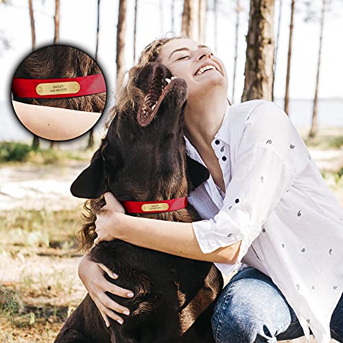 Regal Dog Products Small Red with Custom Engraved Waterproof Dog Collar and Leash Set | Waterproof Dog Collar with Double Buckle & D Ring - 5'ft Leash | Matching Dog Collar and Leash for Dogs - color: Red, size: Small Collar with leash