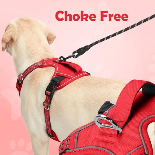 Funfox Dog Harness No Pull, Adjustable Pet Vest Harness, Super Soft Material with Vertical Handle Easy Control, Reflective Night Walking, 2 Leash Clips for Small Sized Dogs, Red, S - color: Red, size: Small