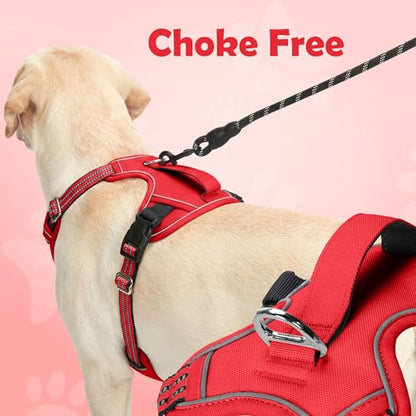 Funfox Dog Harness No Pull, Adjustable Pet Vest Harness, Super Soft Material with Vertical Handle Easy Control, Reflective Night Walking, 2 Leash Clips for Small Sized Dogs, Red, S - color: Red, size: Small