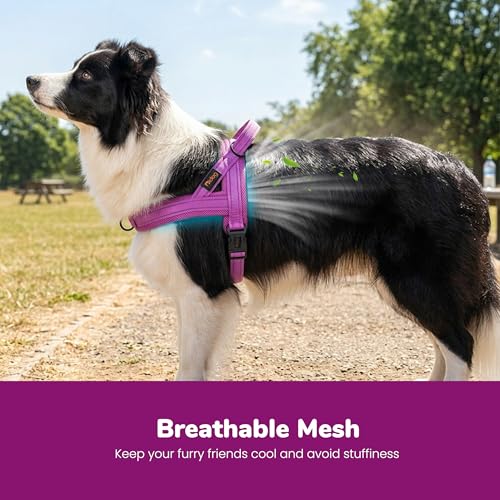 Didog No Pull Dog Harness with Soft Mesh Padded,Reflective & Quick Fit Light Weight Dog Strap Vest Harness,Easy for Walking Training (M:Chest 21-26", Purple) - color: Purple, size: M: Chest 21-26", Fit 28-50 lbs