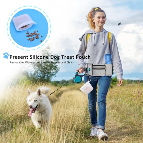 Dog Training Treat Pouch Zipper Waist Belt Bag, Plus Size Dog Treat Bag with Water Bottle Holder Silicone Insert and Clip for Leash Waste Bags Puppy Hiking Dogs Walking Fanny Pack Kit, Grey - color: grey