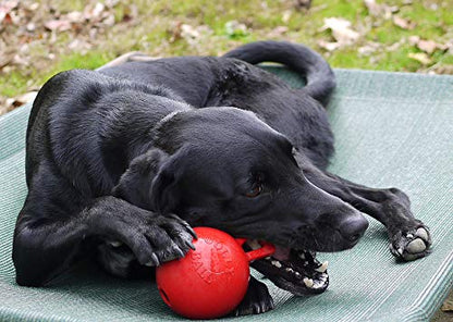 Jolly Pets Tug-n-Toss Heavy Duty Dog Toy Ball with Handle, 4 Inches/Petite, Red - color: Red, size: 4 in/Petite