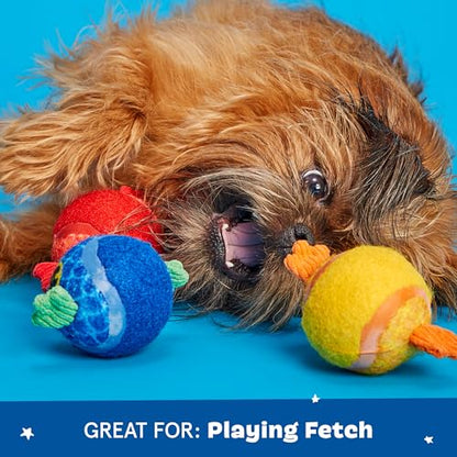 Barkbox Dog and Puppy Toy Guppies Trio of Tennis Balls for Tough Chewers, Fun Fetch and Perfect for Playful Pups, Durable, Engaging and Entertaining, Dog Toys to Keep Them Busy - color: Puppy Guppies