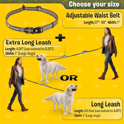 Exquisite Hands-Free Leash for Large Dogs. Ultimate Comfort & Freedom for Walking, Running, Hiking. Premium Quality & Versatile Waist Belt. Your Dog Will Love This Running Leash. - color: Grey & Blue