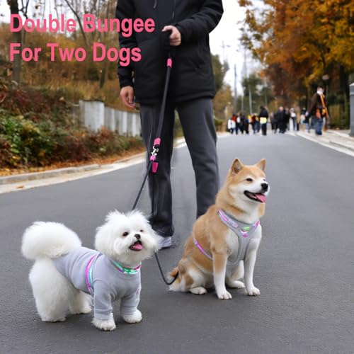 Double Dog Leash for Two Dogs,Dual Hands Free Dog Leashes,360 Swivel No Tangle Walking Leash,Soft Padded Handle,Adjustable Crossbody Waist Rope for Small Medium Large Dogs,Black - color: Black