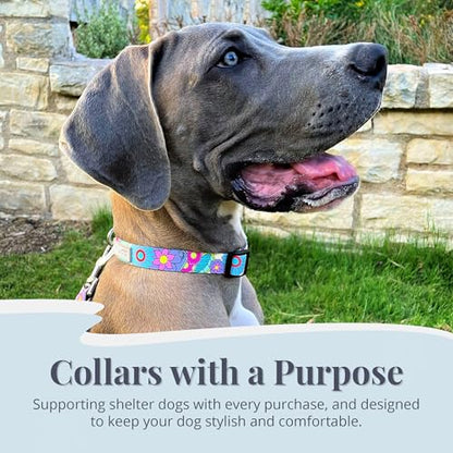 Lucky Love Dog Collars, Cute Large Dog Collars for Female Dogs, Part of Purchase Donated to Rescue (Large, Caroline, Collar) - color: Caroline Collar Only, size: Large | 15-25"
