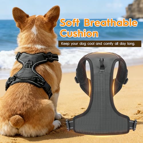 No Pull Dog Harness, No Chock Reflective Adjustable Soft Padded Pet Vest with Easy Control Handle, Easy Wearing with Stylish, Reinforced Knot, 2 Buckles - color: Pearl Platinum, size: X-Small
