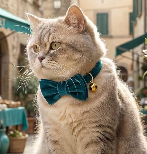 Personalized Velvet Cat Collar with Bell, Custom Engraved Name and Phone Number, Adjustable Luxury Kitten Collar, Non-Breakaway Secure ID Collar for Cats and Kittens - color: Jade Green, size: S