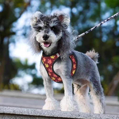 Maple Leaf Pattern Pet Harness Escape Proof Dog Harness Adjustable Mesh Padded Reflective Dog Vest Harness and Leash Set Medium - color: Style 6, size: Medium