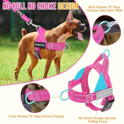 Lukovee No Pull Dog Harness and Leash Set - Heavy Duty Dog Vest with Soft Velvet Padding for Medium Large Dogs, Adjustable Reflective Tactical Harness with 2 Control Handles & Front Clip (S, FU) - color: Fuchsia, size: Small