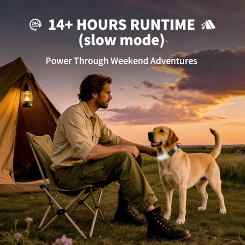 LED Dog Collar with Metal Buckle - USB Rechargeable Glow Collar for Dogs, Waterproof Light Up Dog Collar w/Reflective Strips - Adjustable Night Safety Collars by PetIsay(White, S) - color: White(Fiber optic version), size: Small (11" - 15½ ")