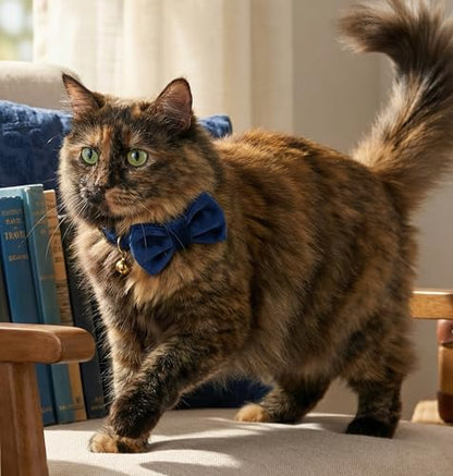 Personalized Velvet Cat Collar with Bell, Custom Engraved Name and Phone Number, Adjustable Luxury Kitten Collar, Non-Breakaway Secure ID Collar for Cats and Kittens - color: Dark Blue, size: L