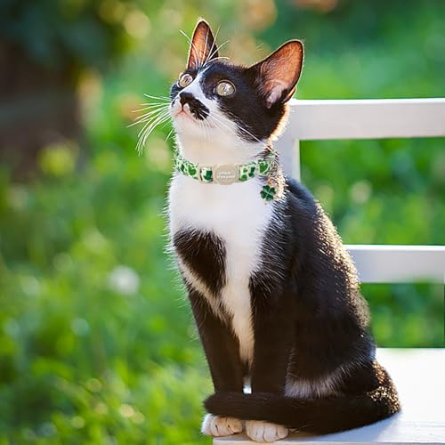 Unique style paws 2 Pack St. Patrick's Day Kitten Collar Breakaway with Bell&Pendant, Adjustable Safety Green Clover Magic Hat Cat Cotton Collar for Girl Boy Cat and Small Pet - color: clover magic hat