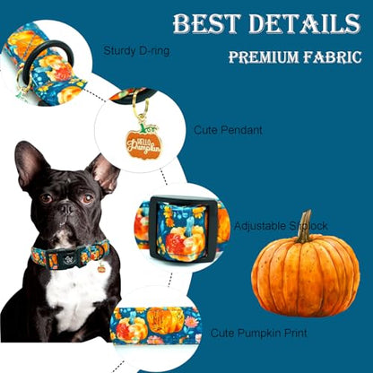 Elegant little tail Halloween Dog Collar, Pumpkin with Flower Print Blue Fall Pet Collars Cotton Soft Sturdy Puppy Collars Holiday Female Adjustable Collar for X-Small Puppy - color: Fall-Blue Pumpkin, size: X-Small (Pack of 1)