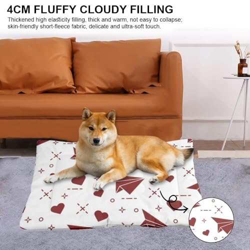 Ultra Soft Dog Mat with Anti- Slip Bottom, Cute Happy Cartoon Things for Dogs Chew Proof Dog Crate Pad Couch Bed Comfy Pet Mat for Indoor& Outdoor Sofa Cars, Machine Washable 36 × 24 inch - size: 36 × 24 inch