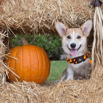 Elegant little tail Halloween Dog Collar, Pumpkin with Maple Leaf Print Fall Pet Collars Cotton Soft Sturdy Puppy Collars Holiday Female Adjustable Collar for X-Small Puppy - color: Fall-Black Pumpkin, size: X-Small (Pack of 1)