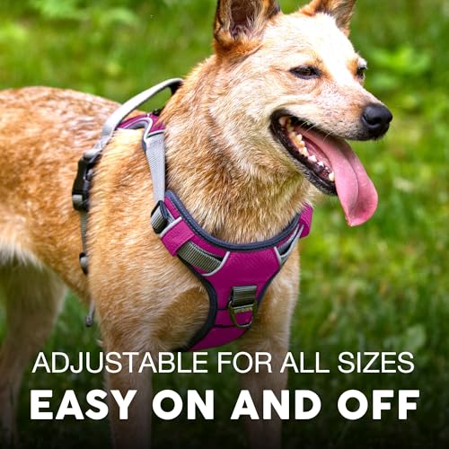 Embark Adventure Dog Harness for Small, Medium & Large Dogs – No Pull, Reflective Trim, Military Grade Nylon, 2 Leash Clips, Gel-Lined Handle, Soft Padded - color: Pink, size: XS