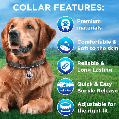 TECEUM Reflective Dog Collar – Black – M – Extra Soft Padding – Basic Nylon Pet Collar – Quick Release Buckle – Fits Small, Medium and Large Dogs, Puppies, Cats – ESA & Service Dog Options - color: Black, size: Medium