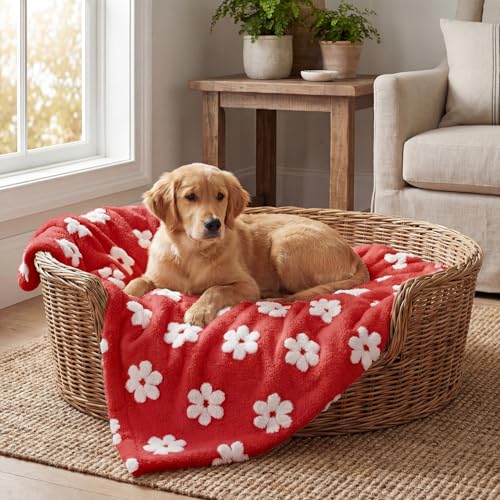 Horaldaily Pets Flannel Blanket, Red Flowers 3D Textured Soft Fuzzy Fluffy Plush Cozy Fleece Premium Blankets for Dog Cat Puppy Kitten Couch Protection, 20x30 - color: Red, size: 20''x30'',Medium
