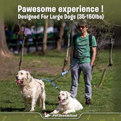 Exquisite Hands Free Dual Dog Leash with Tangle-Free Swivel for Large Dogs. Waist Leash for Running with Two Dogs. You Will Absolutely Love This Amazing Dog Walking Belt (Grey and Blue) - color: Grey & Blue