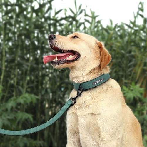 Didog Custom PU Leather Dog Collars with Personalized Engraving Nameplate,Personalized Padded Dog Collars Engraved for Small Medium Dogs,Green,L Size - color: Green, size: L: Fit 13-17"Neck