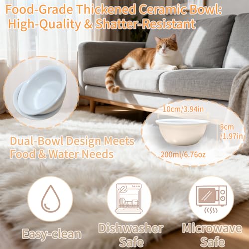 Raised Cat Food Bowls with 15° Tilt & Wood Base – Cat Food and Water Bowl Set, Upgraded Anti-Vomit Feeder Station with 2 Ceramic Dishes for Your Kitten or Puppy, Dishwasher Safe