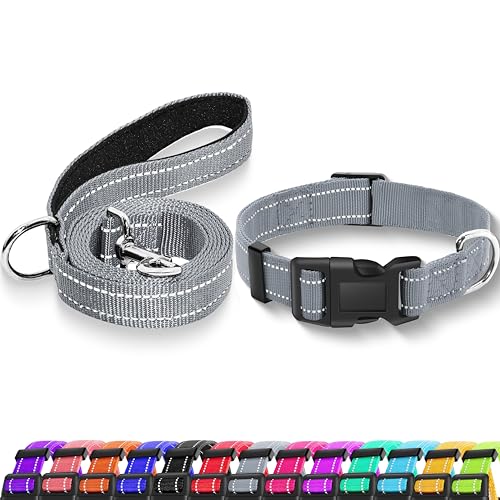 Reflective Dog Collar with Safety Locking Buckle, Adjustable Soft Breathable Nylon Collars for Small, Medium and Large Dogs(Collar+Leash XS Width 5/8" Gray) - color: Gray, size: X-Small (Width 5/8")