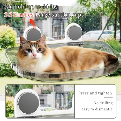 La La Pet Suction Cup Cat Bed with Mat Transparent All Season Window Perch for Indoor Pets Sunbathing Hammock Nest