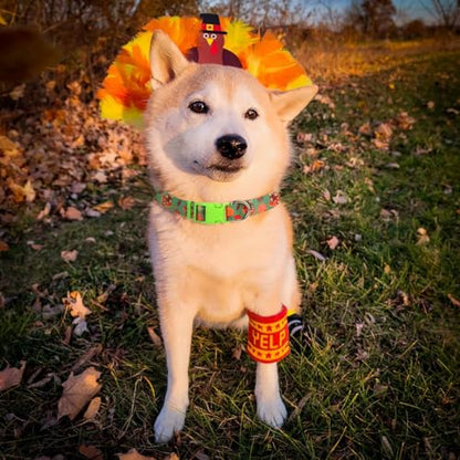 BoomBone Thanksgiving Dog Collar for Large Dogs, Quick Release Fall Dog Collar - color: Thanksgiving, size: L