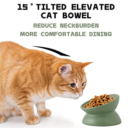 Ceramic Raised Cat Bowl, Cat Food Bowls Elevated Tilted, Ceramic Pet Bowl Whisker Friendly, Anti Vomit & Reduce Neck Burden for Food and Water (Green) - color: Green