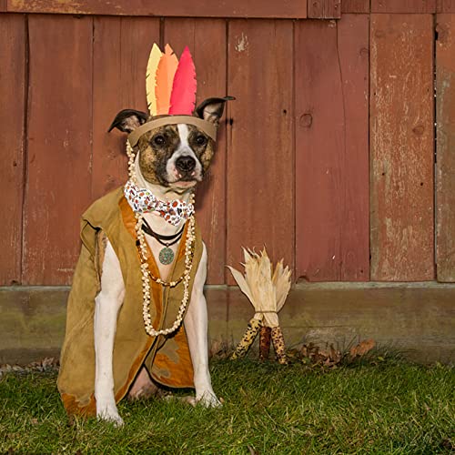 Elegant little tail Dog Collar with Bow - Fall Pet Collar Bow Thanksgiving Turkey Bowtie Girl Boy Pet Collars Soft Adjustable Collars for Small Medium Large Dogs - color: Fall Turkey, size: X-Small (Pack of 1)