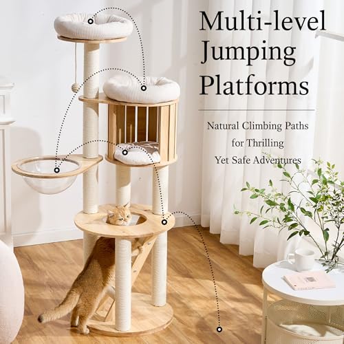 797Audio Wood Modern Cat Tree, 61.5" Tall Cat Tower with Sisal Scratching Posts, Cat Condo, Capsule and Ladder, Solid Wooden Aesthetic Multi-Level Cat Climbing Tree for Large Adult Indoor Cats - color: 62 Inch
