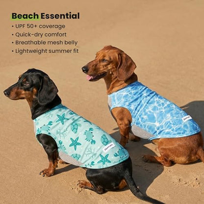Fitwarm 2 Pack Marine UPF 50+ UV Sun Protection Dog Shirt, Lightweight Cooling Vest, Quick Dry Summer Clothes for Small Dogs Boy Girl, Pet Outfit, Sky Blue, Mint Green, XS - color: Marine, size: X-Small