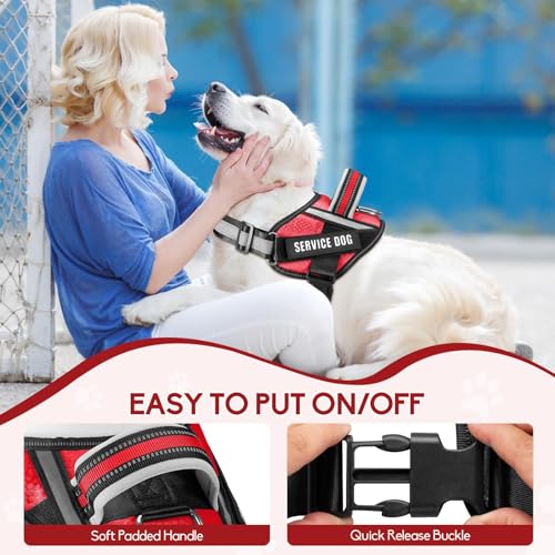 Service Dog Vest Harness and Leash Set, Animire in Training Dog Harness with 10 Dog Patches, Reflective Dog Leash with Soft Padded Handle for Small, Medium, Large, and Extra-Large Dogs - color: Red, size: XXS