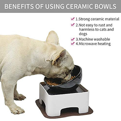 Raised Tilted Dog Feeding Bowl,Elevated Ceramic Dog Bowls Set Anti-Slip,Standing Pet Feeding Dish for Small Medium Dogs and Cats,Black - color: Black