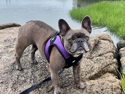 Gooby - Escape Free Easy Fit Harness, Small Dog Step-In Harness for Dogs that Like to Escape Their Harness, Purple, X-Small - color: Purple, size: X-Small chest (15~17.25")