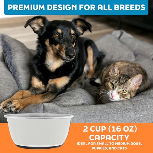 Master Pet Supply Stainless Steel Dog Bowls Set of 2 (16 Oz Each) with Non-Slip Rubber Base - Bone White - Basic Dog Food Bowl Water & Food Bowls for Small Medium Large Dogs & Cats, Metal Dish - color: Bone White, size: 2 Cups (16 oz) 2 Pack