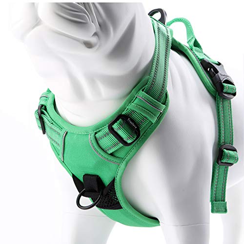 JUXZH Truelove No Pull Dog Harness with Easy Control Handle and 2 Leash Attachments,Reflective Adjustable Pet Vest - color: Grass Green, size: X-small (Pack of 1)