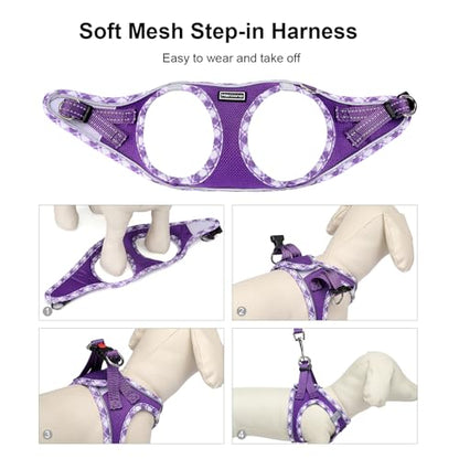 Mercano Soft Mesh Dog Harness and Leash Set, Step-in Reflective Breathable Lightweight Vest Harnesses with Safety Buckle for Small Dogs, Cats (XL, Purple) - color: Purple, size: XL (Chest: 19.5"-21.5")