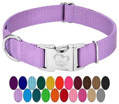 Country Brook Petz - Premium Nylon Dog Collar with Metal Buckle for Small Medium Large Breeds - 10+ Cool Colors (Small, 3/4 Inch, Lavender) - color: Lavender, size: Small (Pack of 1)