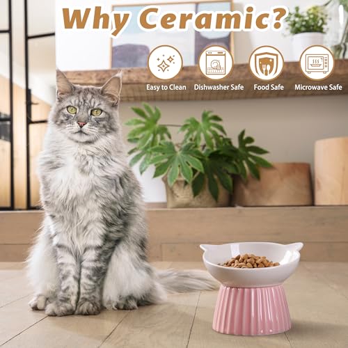 Ceramic Raised Cat Bowl，Tilted Raised Bowl Anti Vomit for Indoor Cats Whisker Friendly Pet Feeder for Cats Puppies, Microwave and Dishwasher Safe (Blue) - color: Pink