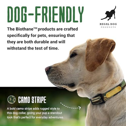 Regal Dog Products Small Green Camo Hunting Dog Collar with Custom Engraved Name Plate and Heavy Duty Black Hardware | Waterproof Personalized Dog Collars | Other Sizes for Small, Medium & Large - size: Small, style: Green Camouflage
